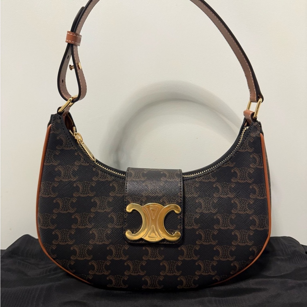 Celine Triomphe Canvas Ava Bag